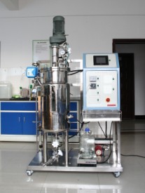 【高校实验室标准装备】气升式发酵罐 自控生物反应器 发酵罐