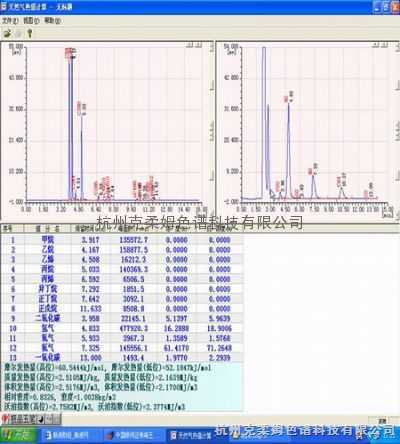 chrom 2010-LQ 燃气热值专用色谱工作站