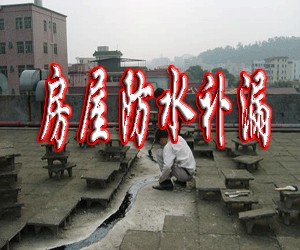上海专业防水补漏房顶.厂房屋面、厨卫防水、5年保修