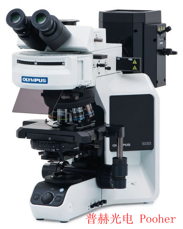 奥林巴斯三目显微镜BX53