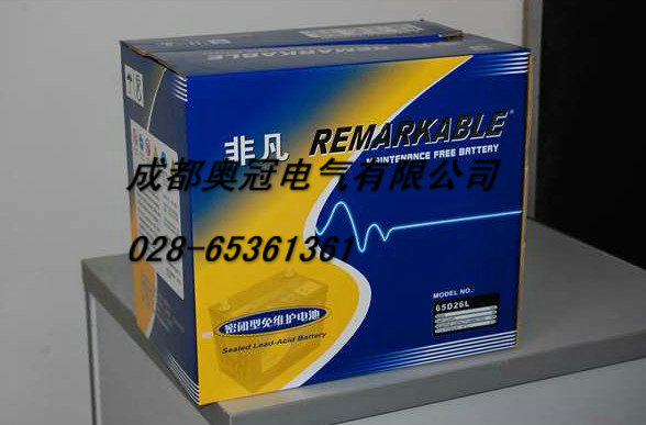 非凡REMARKABLE蓄电池代理商报价 配电箱用蓄电池