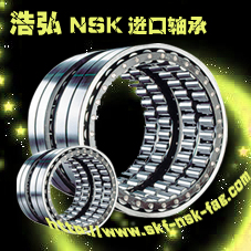上海NSK进口轴承|深沟球轴承|上海进口轴承总经销