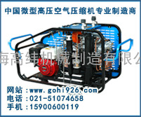LYW100型消防呼吸高压空气压缩机  打折促销