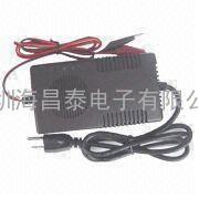 Standard Battery Charger for 24V/6.0 to 30.0Ah Lea