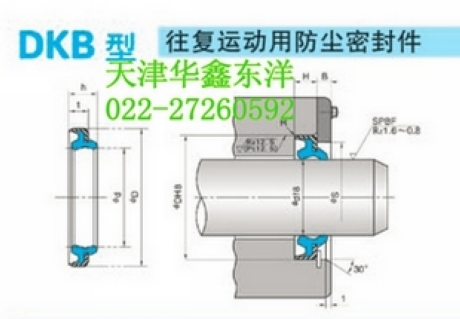 DKB往复运动防尘密封件AR3187G5（60*74*8/11)ISI密封件IDI密封件ODI密封件