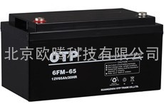 OTP蓄电池65AH官网报价 UPS电源用6FM-65AH/20HR