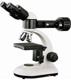 深圳小型金相显微镜GOL-200F价格,免费查询泰宇星光电