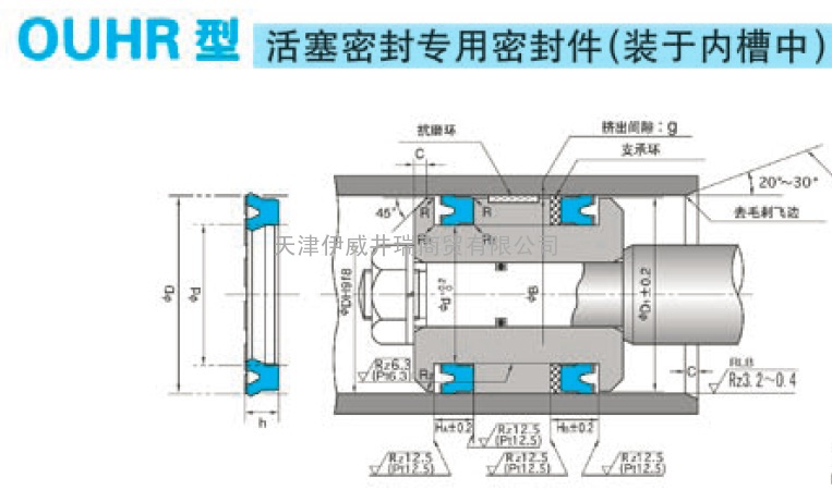 活塞系统密封KZT-OUHR-BRT2-WRT2-起重机转臂油缸专用