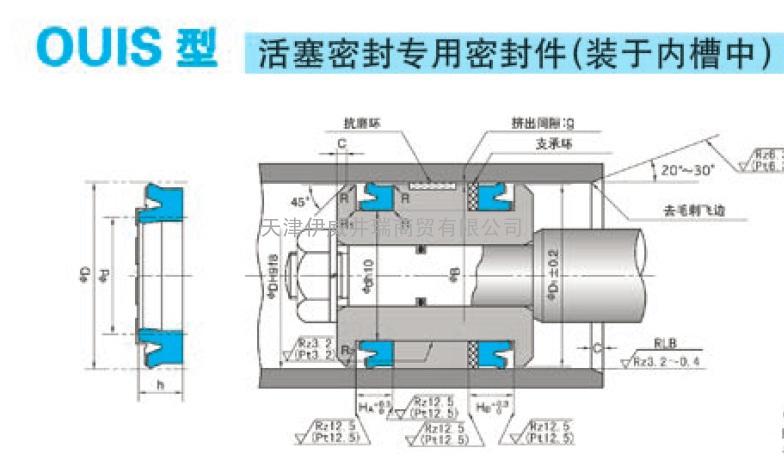 起重机起重油缸活塞密封件KZT-OUIS-BRT2-WR