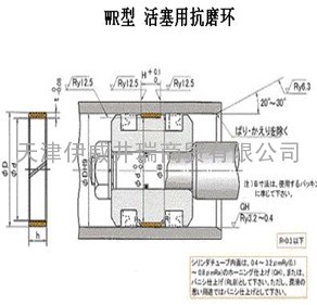 活塞密封系统KZT-WR-SPGW机动铲专用密封