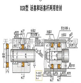 机械手活塞杆系统密封USH-BRT2-DKB