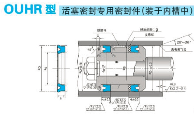 活塞密封OUHR-BRT2-RYT-升降机专用密封圈