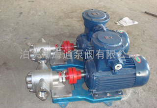 KCB18.3-83.3型不锈钢齿轮泵