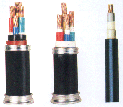 DJYP2VP2	聚乙烯绝缘对绞组铜带分屏蔽及总屏蔽聚氯乙烯护套计算机电缆