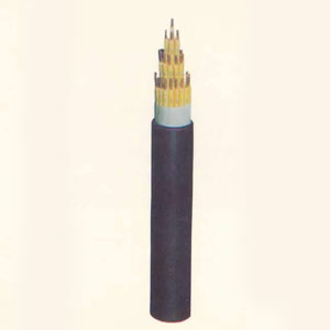 DJYVP22	聚乙烯绝缘对绞组铜线编织总屏蔽钢带铠装聚氯乙烯护套计算机电缆