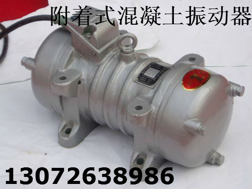 ZF55-50混凝土振动器 ZW-10平板振动器