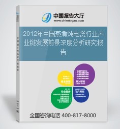 2012年中国蒸煮炖电煲行业产业链发展前景深度分析研究报告