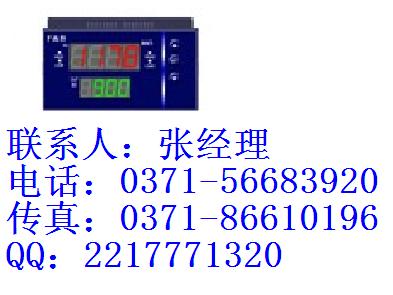 XMS5200福建百特速度表XMS5000 说明书 图片 XMS5000报价