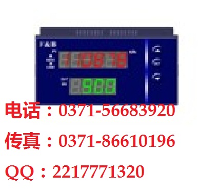 流量积算仪 XML5000 福建百特 XML5000 说明书