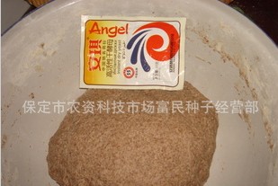 保健食品黑小麦粉