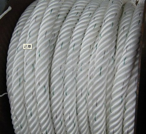 8股高强丙纶绳	8-strand hight polypropylene rope