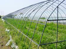 新型温室大棚 北方温室建造 蔬菜大棚骨架
