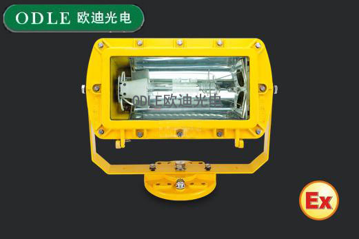 BYC6120  内场防爆强光泛光灯