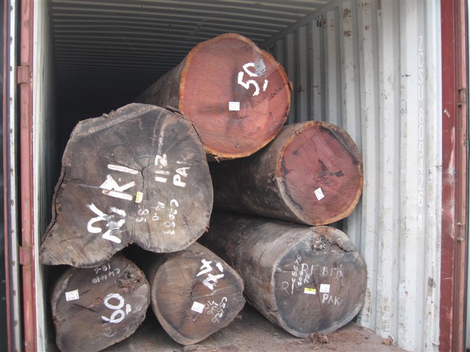 进口木材怎么通关/越南木材进口通关的流程和手续有哪些