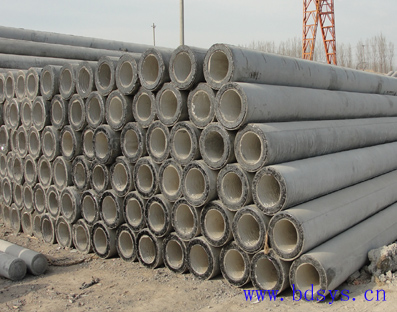 内蒙古各种规格水泥电线杆 水泥杆