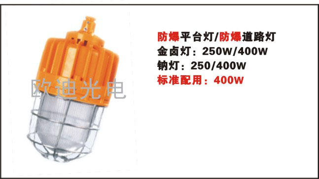 BYC6218 厂用防爆金卤灯