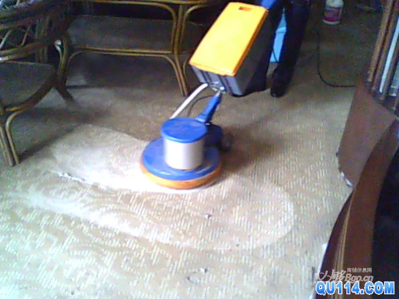 上海地毯杀虫公司 上海普陀区大渡河路地毯清洗公司51088357