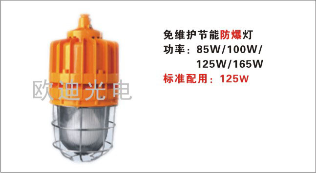 BNC6231 防爆防眩无极灯