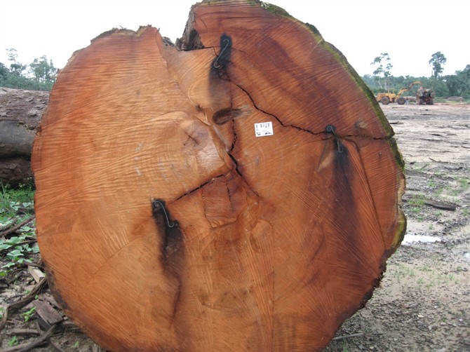 从老挝/柬埔寨进口木材流程是怎样的/木材进口需要办理哪些手续