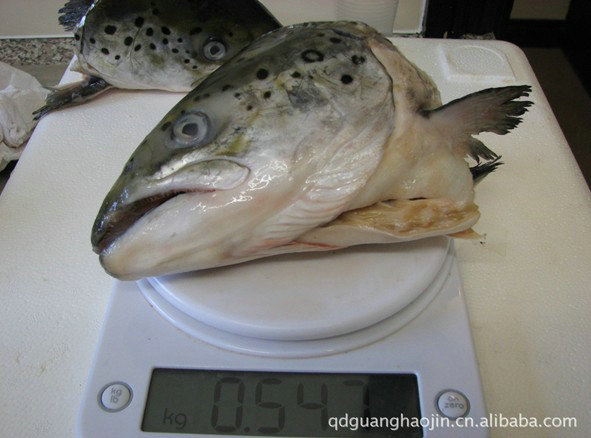 挪威新鲜三文鱼头