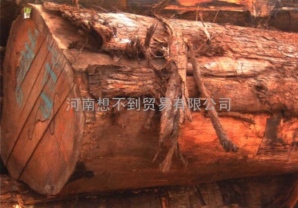 操作广州木材进口清关是应该注意什么