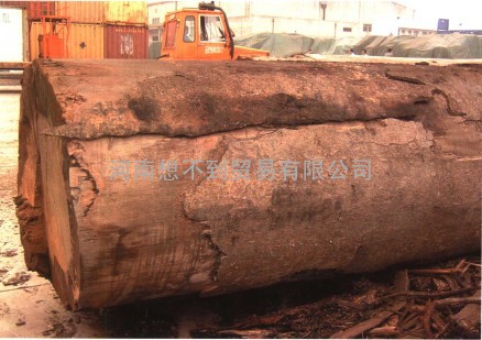首次操作广州木材进口需要的资料