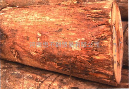广州原木进口国外需要的文件