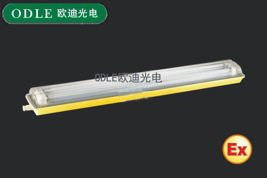 BCX6225型粉尘防爆防腐荧光灯