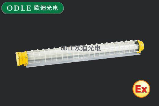 BCX6228防爆荧光灯