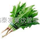 鲜蔬菜配送-深圳农产品-伟泰发配送