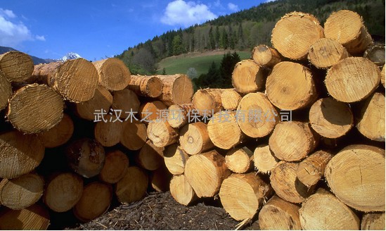 东南亚木材进口手续办理