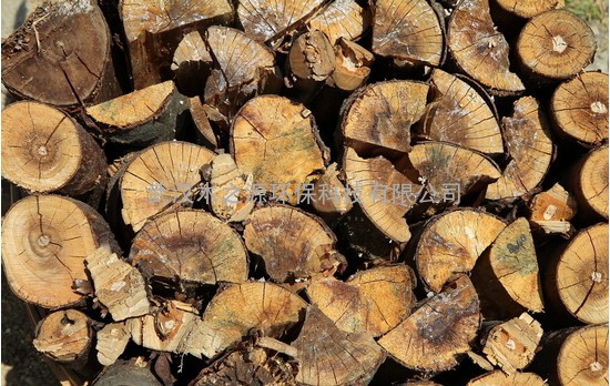 非洲木材进口需要什么资料