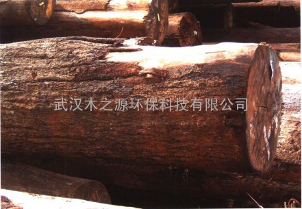 木材进口物种证办理