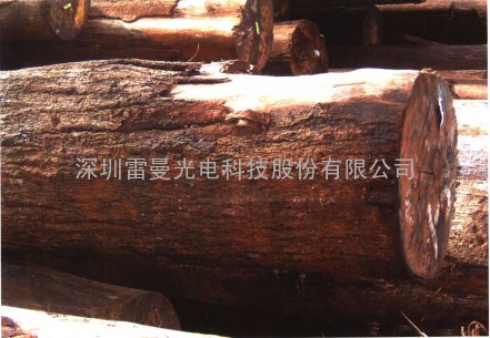菲律宾木材/原木/木方/板材进口手续办理时间
