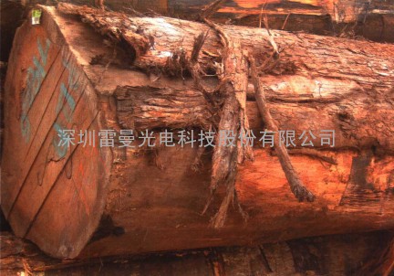 首次柬埔寨木材/原木/木方/板材进口需要的资料
