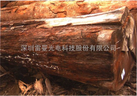 泰国木材/原木/木方/板材进口手续办理