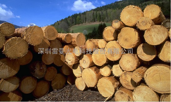 老挝木材/原木/木方/板材进口资料单证