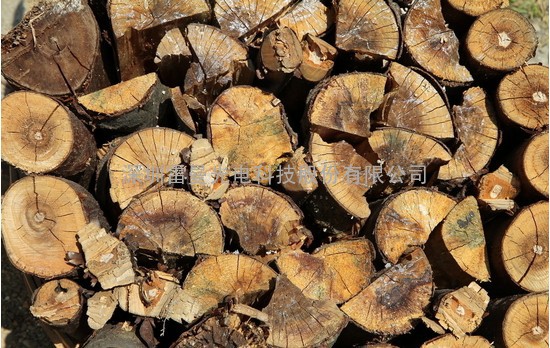 怎样办理越南木材/原木/木方/板材进口手续