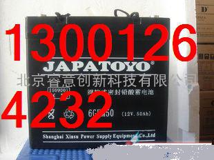 6GFM24/12V 24AH/20HR/TOYO东洋蓄电池/杭州代理