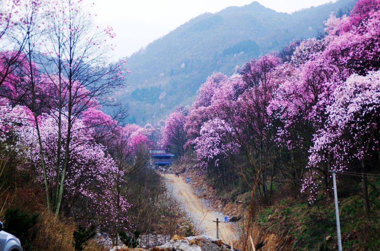 佛山人才派遣